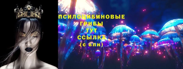прущие грибы Балахна