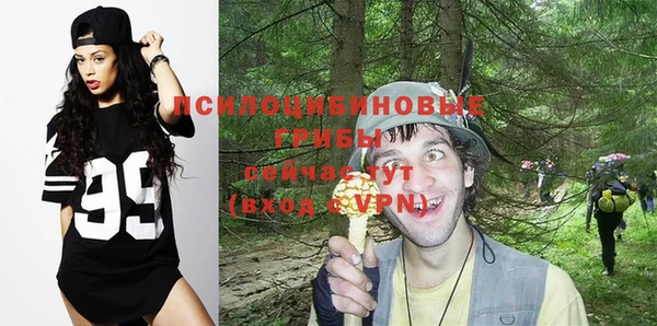 прущие грибы Балахна