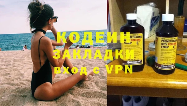 прущие грибы Балахна