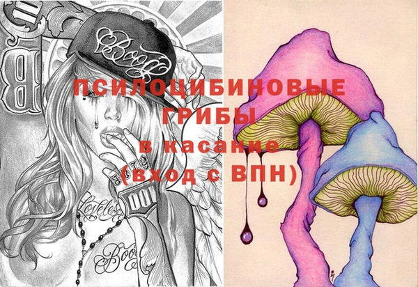 прущие грибы Балахна