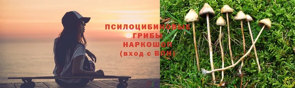 apvp Баксан