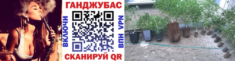 Каннабис план  Белореченск 